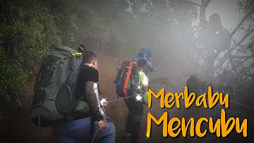 Lily dan Monyet Lucu Merbabu | Jurnal Gunung 'Fake Traveler' #4 - Part 2