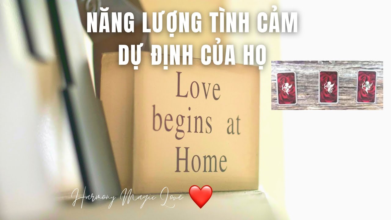 Chọn 1 tụ bài #Tarot [BIGLOVE]❤️NĂNG LƯỢNG TÌNH CẢM HIỆN TẠI, DỰ ĐỊNH CỦA HỌ🔮#romanticlove