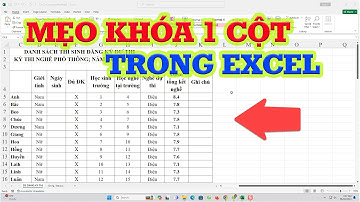 Tuyệt chiêu khóa một cột trong Excel siêu dễ