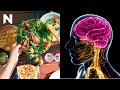Study Shows Intermittent fasting leads to changes in brain, gut