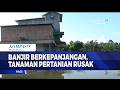 Banjir Berkepanjangan, Tanaman Pertanian Rusak