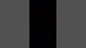 11 August 2025 