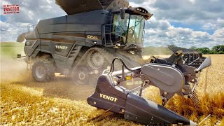 FENDT IDEAL 8T Combine Harvesting Wheat