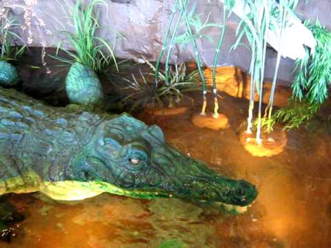 Atlantic City, Rainforest Cafe - The Crocodile 