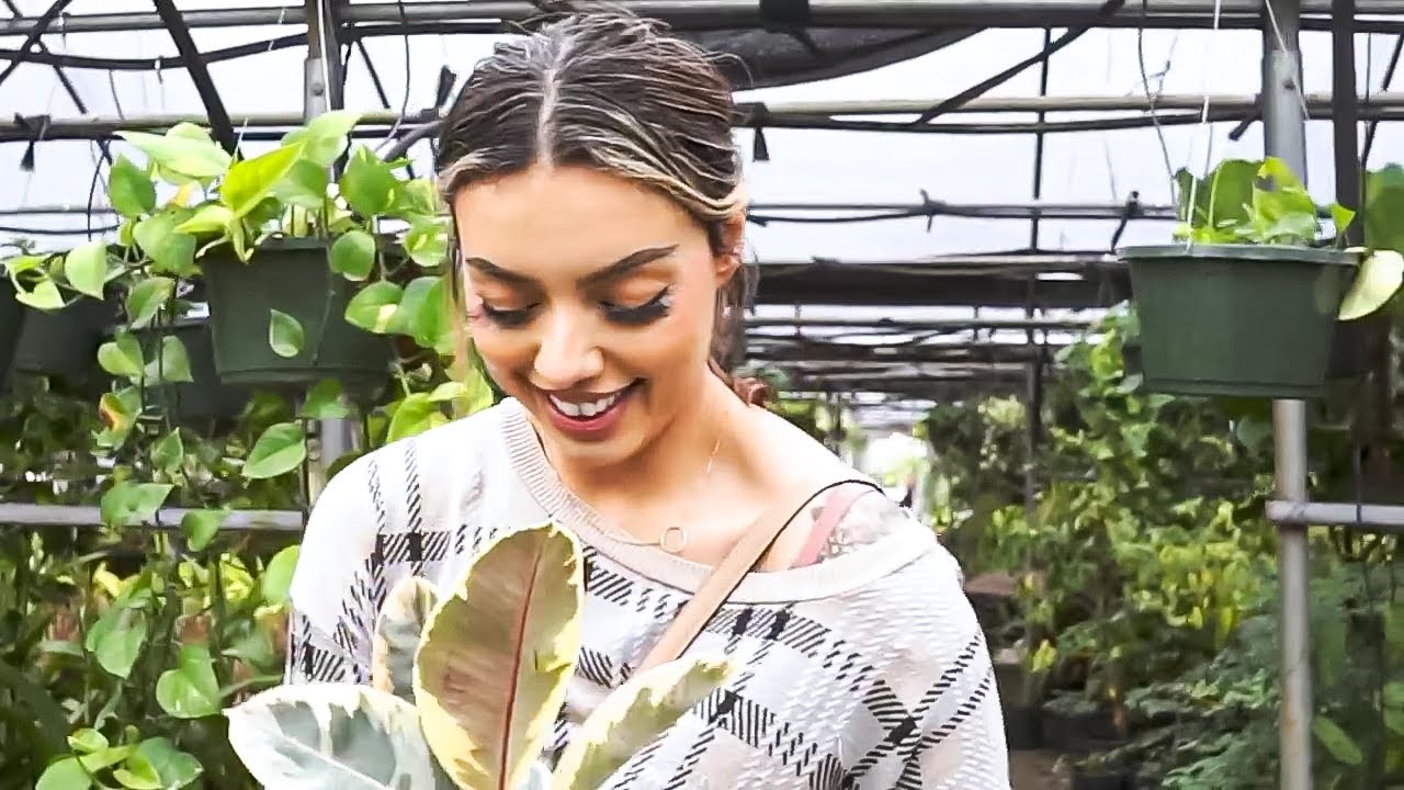 Picking the PERFECT plant for my gaming room!