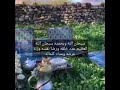 أجمل وأقصر مقطع صباح الخير تشاهده طلعة البر مع صب القهوه وأجمل مناظر طبيعية وزقزقة العصافير وتلاوه 