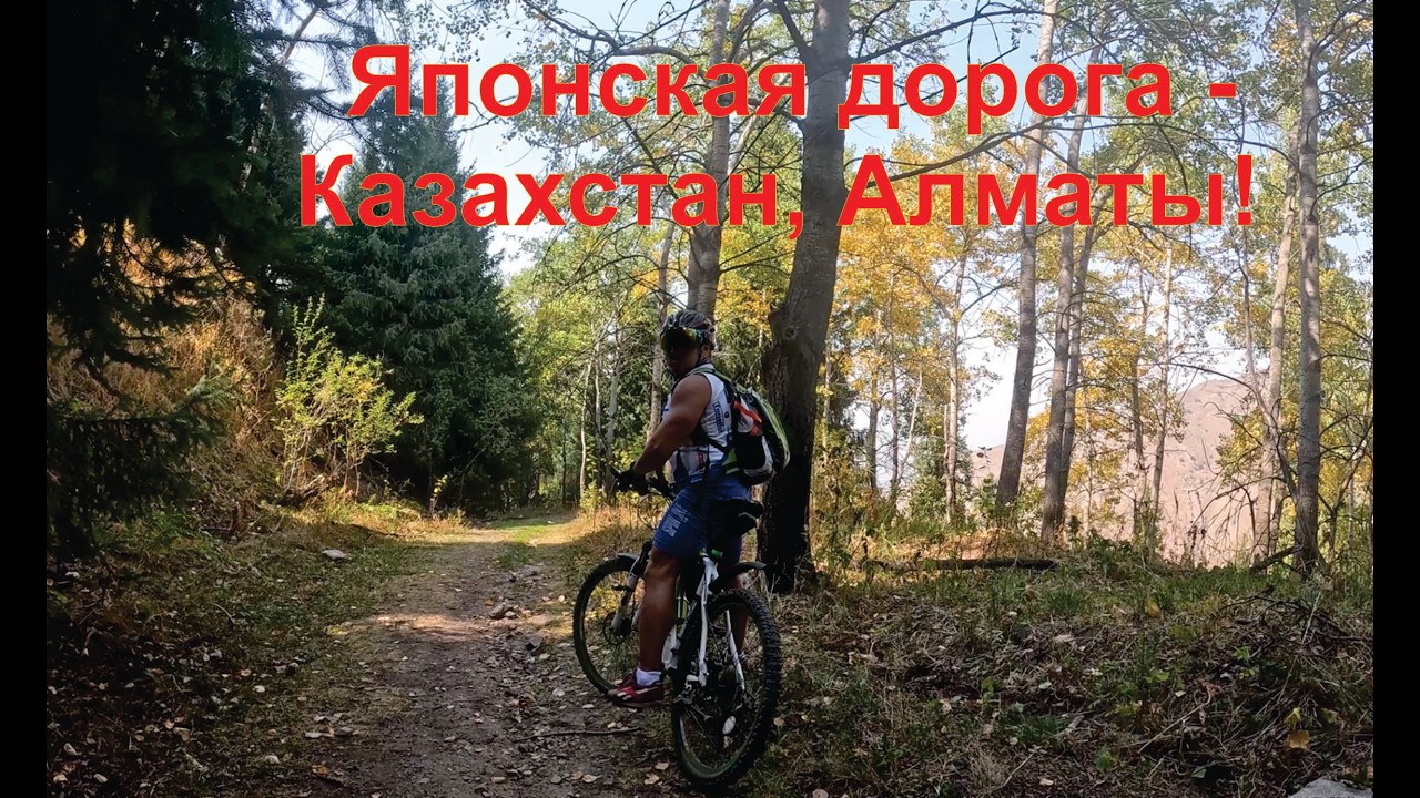 Велосипед - Японская дорога 07.09.2025