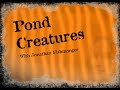 Pond creatures pilot