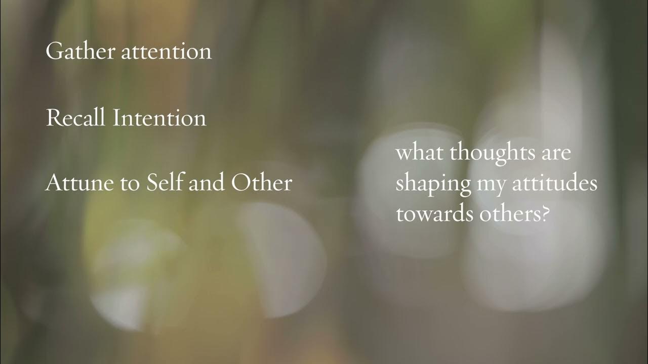 Practice GRACE Richard Rohr's Daily Meditations YouTube
