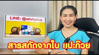 สารสกัดจากใบแปะก๊วย