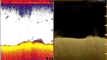 Interpreting downimaging and 2D sonar