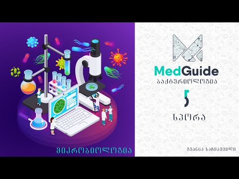 Medguide/მედგიდი - მიკრობიოლოგია | ბაქტერიოლოგია: სპორა
