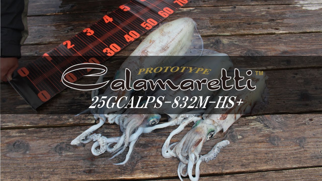 エギング】カラマレッティープロトタイプ 25GCALPS-832M-HS+ 春