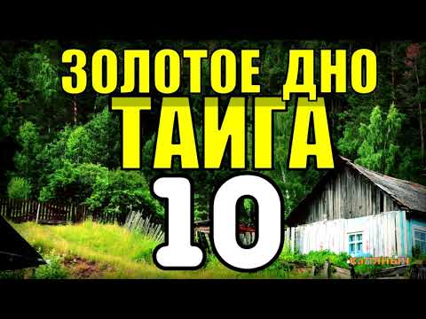 20 ЛЕТ В ТАЙГЕ | ПОХОД В ГОРЫ | ЭКСПЕДИЦИЯ НА КРАЙ СВЕТА | медведь напал на человека в лесу 10