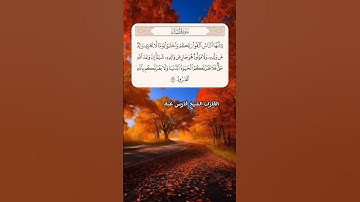 سورة لقمان آية (33) القارئ #فارس_عباد