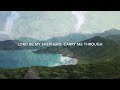 Abide in Me (Official Lyric Video) - Hillside Recording & Diana Trout