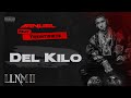 Anuel AA, Treintisiete, Yailin La Mas Viral - Del Kilo (Visualizer Oficial) | LLNM2