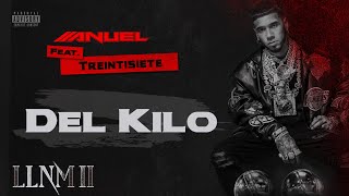 Anuel Aa, Treintisiete, Yailin La Mas Viral - Del Kilo (Visualizer Oficial) | Llnm2