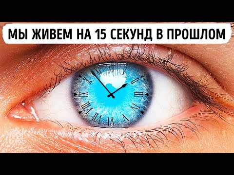 Наш мозг держит нас на 15 секунд в прошлом + 12 других невероятных фактов о теле