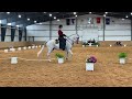 Working Equitation Dressage test - Advanced (L6). Stephanie Hayes and DEM Rayo.