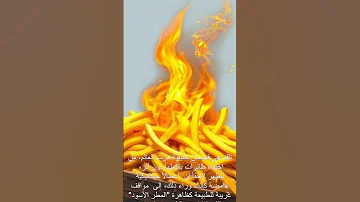 قصص حقيقية أغرب من الخيال لن تصدق ما حدث فعل ا 