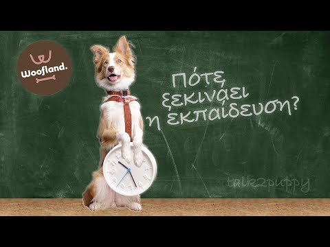 Βίντεο: Εκπαίδευση για τα κουτάβια και την κύστη