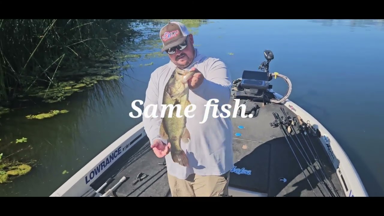 100 fish days and Big Bass. Clear Lake fishing report. ##bassfishing #largemouth