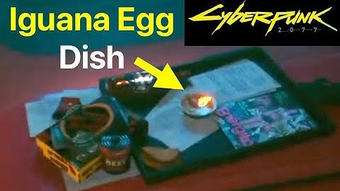Cyberpunk 2077: How to Get Dish For Iguana Egg (Missing Bowl For "An iguana