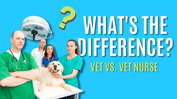 Is a veterinary nurse the same as a veterinary technician