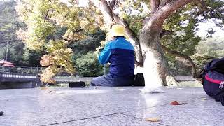 20181003 벌곡 검천리에서 삼포로 가는 길