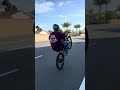 Halloween clips