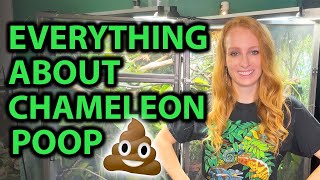 Everything you need to know about chameleon poop