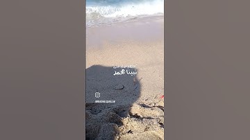 إِنَّ اللَّهَ وَمَلَائِكَتَهُ يُصَلُّونَ عَلَى النَّبِيِّ ۚ || هزاع البلوشي سورة الاحزاب