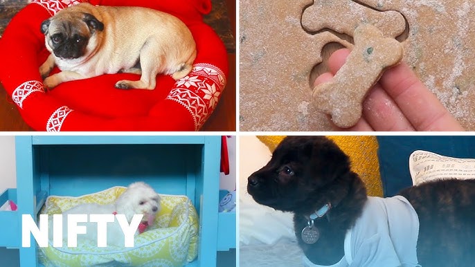 11+ DIY Projects For Your Dog!