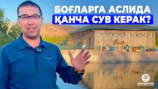 видео: МЕВА БИЗНЕСИ - СУВ БИЗНЕСИ! СУВСИЗ БОҒЛАРИМИЗ НИМА БЎЛАДИ! | ШУҲРАТ АБРОРОВ #shuhratabrorov #suv #uz картинка: МЕВА БИЗНЕСИ - СУВ БИЗНЕСИ! СУВСИЗ БОҒЛАРИМИЗ НИМА БЎЛАДИ! | ШУҲРАТ АБРОРОВ #shuhratabrorov #suv #uz