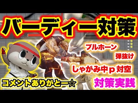 【ストV】リュウ使いによるバーディー対策！【しんじょう君】