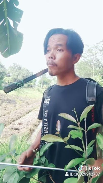 rindu tak bertuan