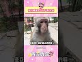 你们俩是怎么认出对方的