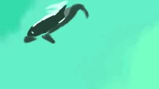 Animation - Smudge