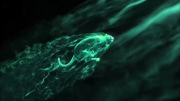 Panther Intro Maker |Random 2022