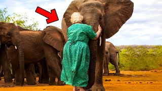 Женщина спасла жизнь слонёнку, а много лет спустя животное вернулось, чтобы её отблагодарить