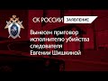 Вынесен приговор исполнителю убийства следователя Евгении Шишкиной