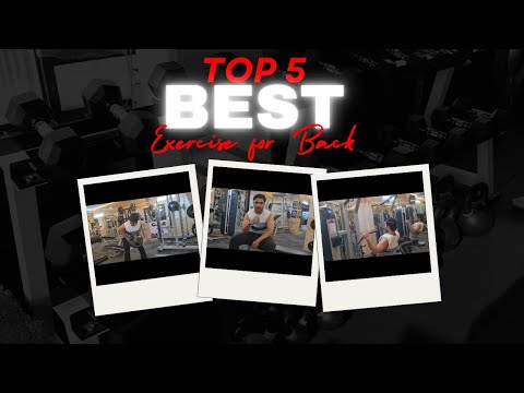 Top 5 Best
