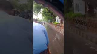 All About Today                        cmc rainyday ctg