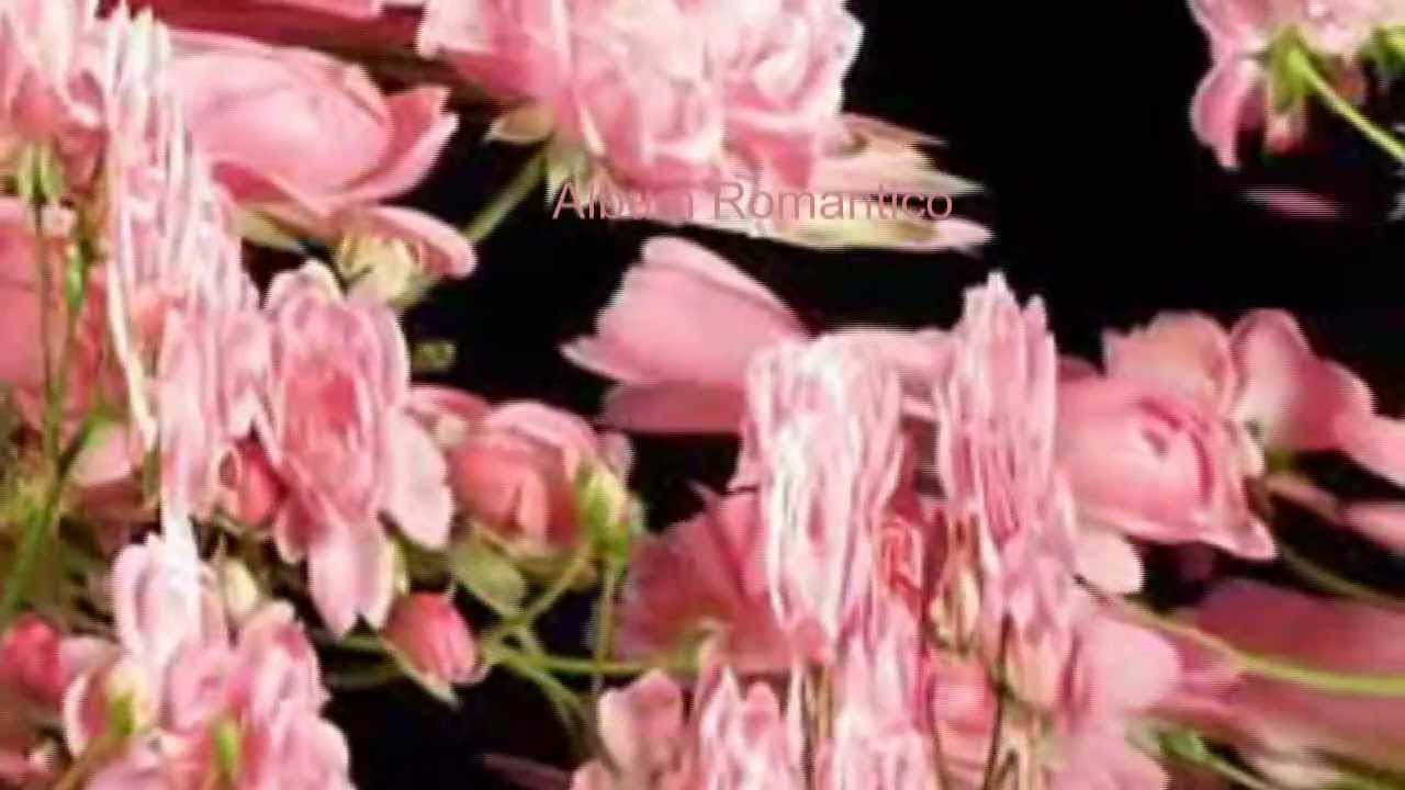 GIOVANNI MARRADI - Romantico - YouTube