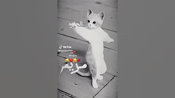 تحية لكل من إسمها مريم 