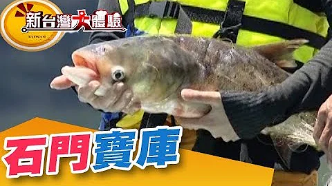 石門聚寶盆 大魚一條條上岸！ 出海捕透抽 鮮甜又美《新台灣大體驗》第82集 廖慶學 - 天天要聞