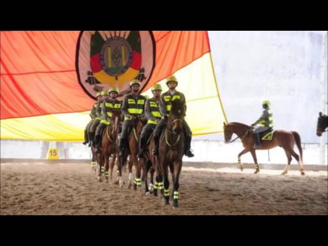 No Dia da Cavalaria, Brigada Militar ganha 23 novos soldados especializados  na atividade - Portal do Estado do Rio Grande do Sul