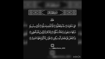 هلك عني سلطانية -   #اكسبلور #قرآن #قران_كريم #اللحيدان #هلك_عني_سلطانية #الحاقة #سورة #سورة_الحاقة