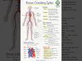 Human Circulatory System ⚡ Quick,Revision. #pharmcist  #Shorts#HumanCirculatory#PharmacyGyan0.1